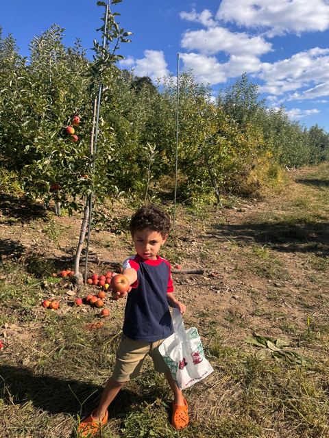 SPSA Apple Picking, photo 11 of 32