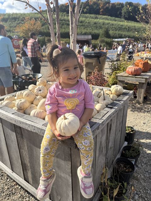 SPSA Apple Picking, photo 15 of 32