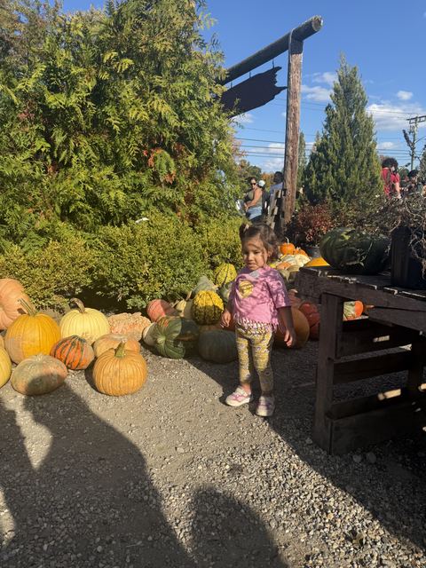 SPSA Apple Picking, photo 18 of 32
