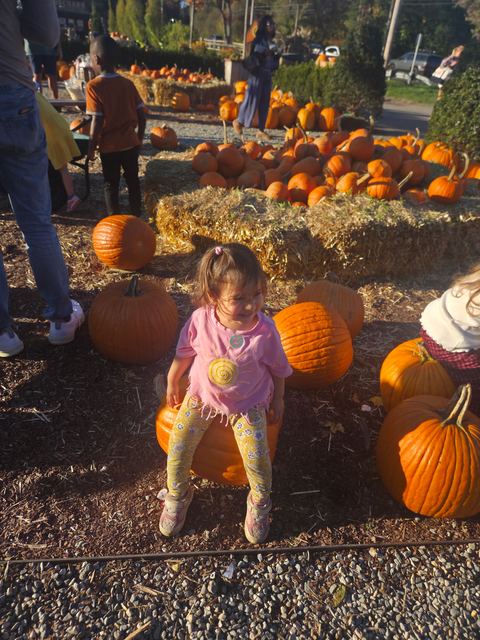 SPSA Apple Picking, photo 31 of 32